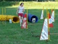 /album/fotogalerie-agility/agility1-jpg1/