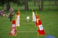 /album/fotogalerie-agility/agility4-jpg/