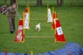 /album/fotogalerie-agility/agility5-jpg/