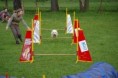 /album/fotogalerie-agility/agility10-jpg/